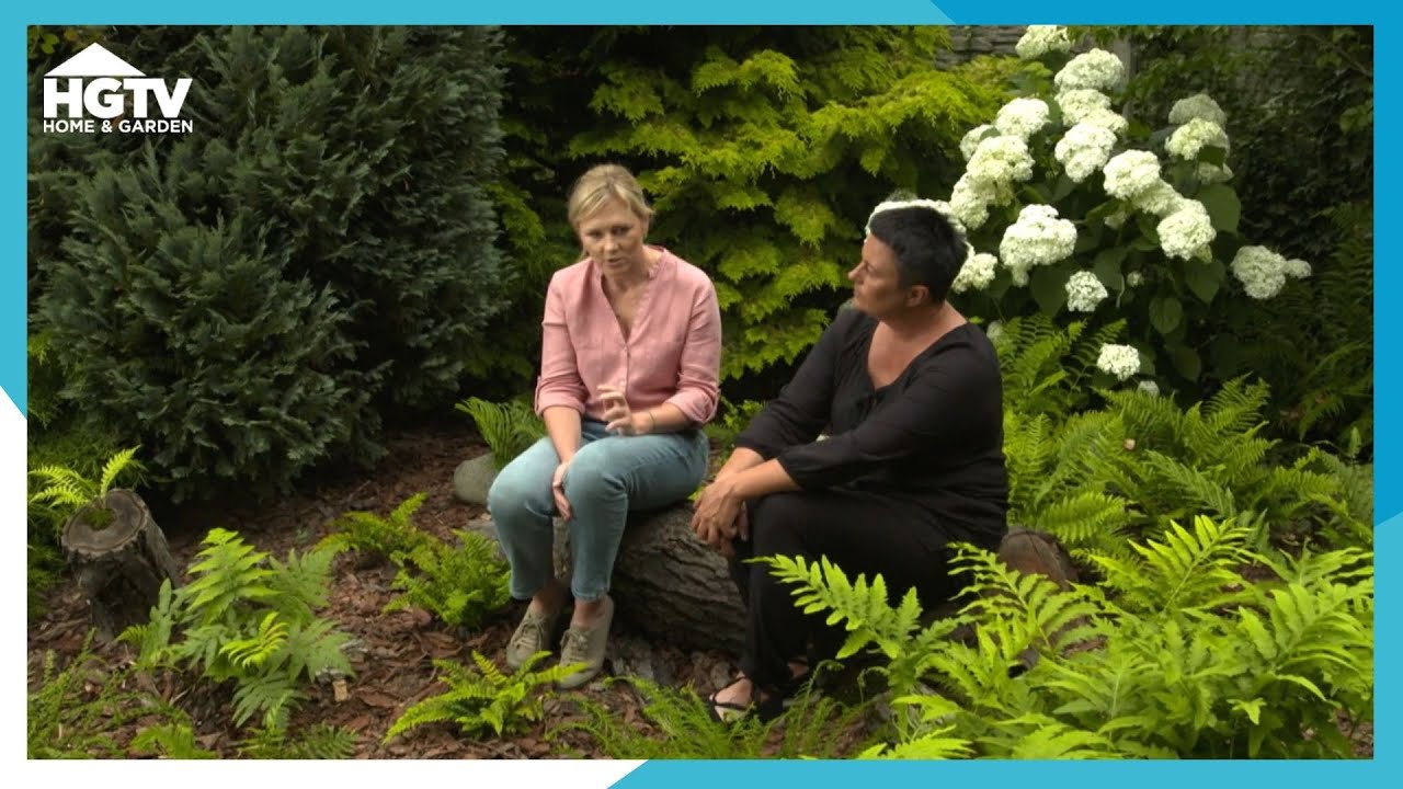 Jak stworzyć idealne warunki dla paproci? [Nowa Maja w ogrodzie]