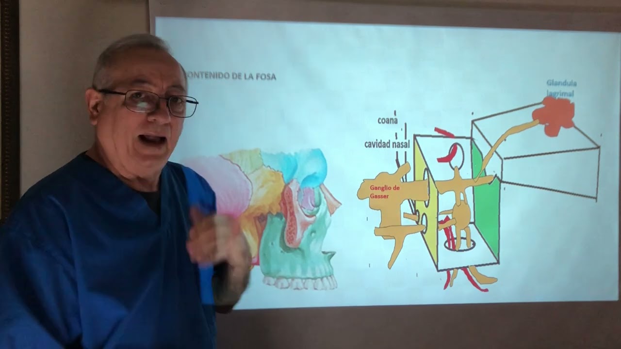 Una explicación fácil de la fosa pterigopalatina. Neuralgia del ganglio pterigopalatino