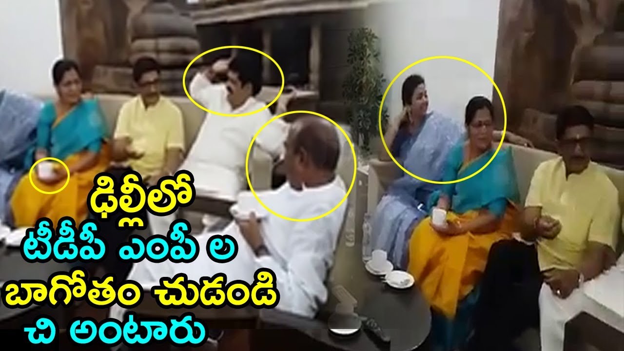 TDP MPs Funny Conversation in Delhi | Video Goes Viral | Fata Fut News