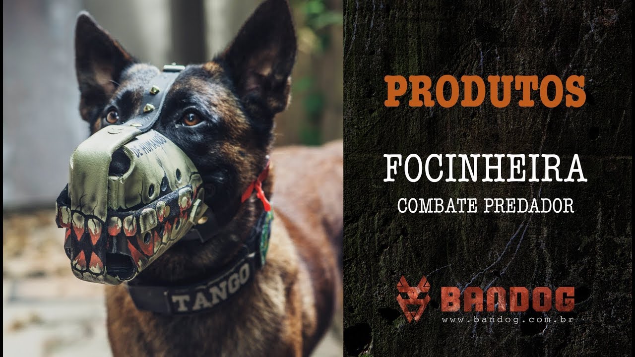 Video Focinheira PREDADOR - combate