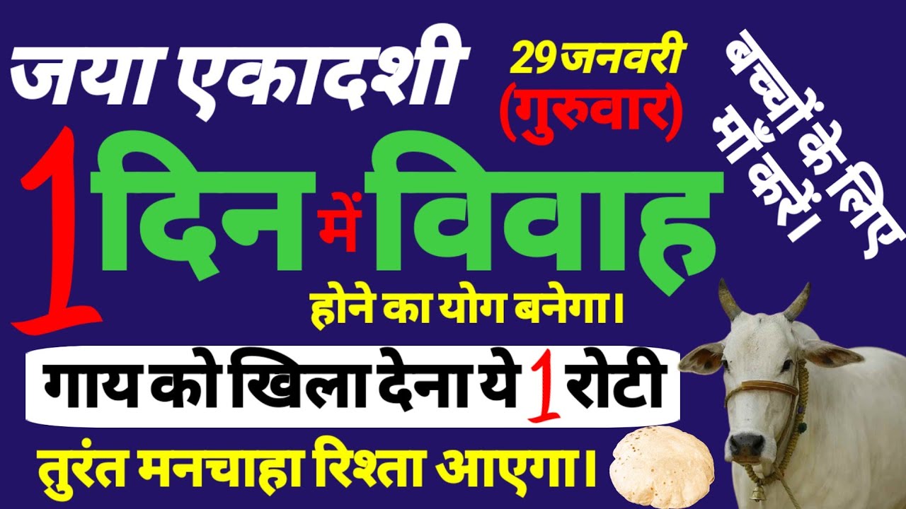 यदि बच्चों की शादी में देरी हो रही है तो जया एकादशी के दिन गाय को खिला देना यह रोटी। जल्द शादी होगी।