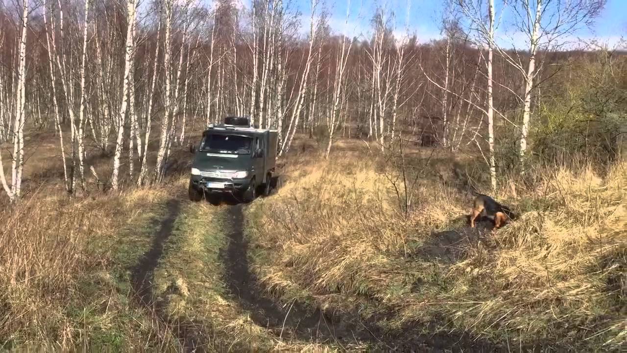 iglhaut Sprinter 4x4