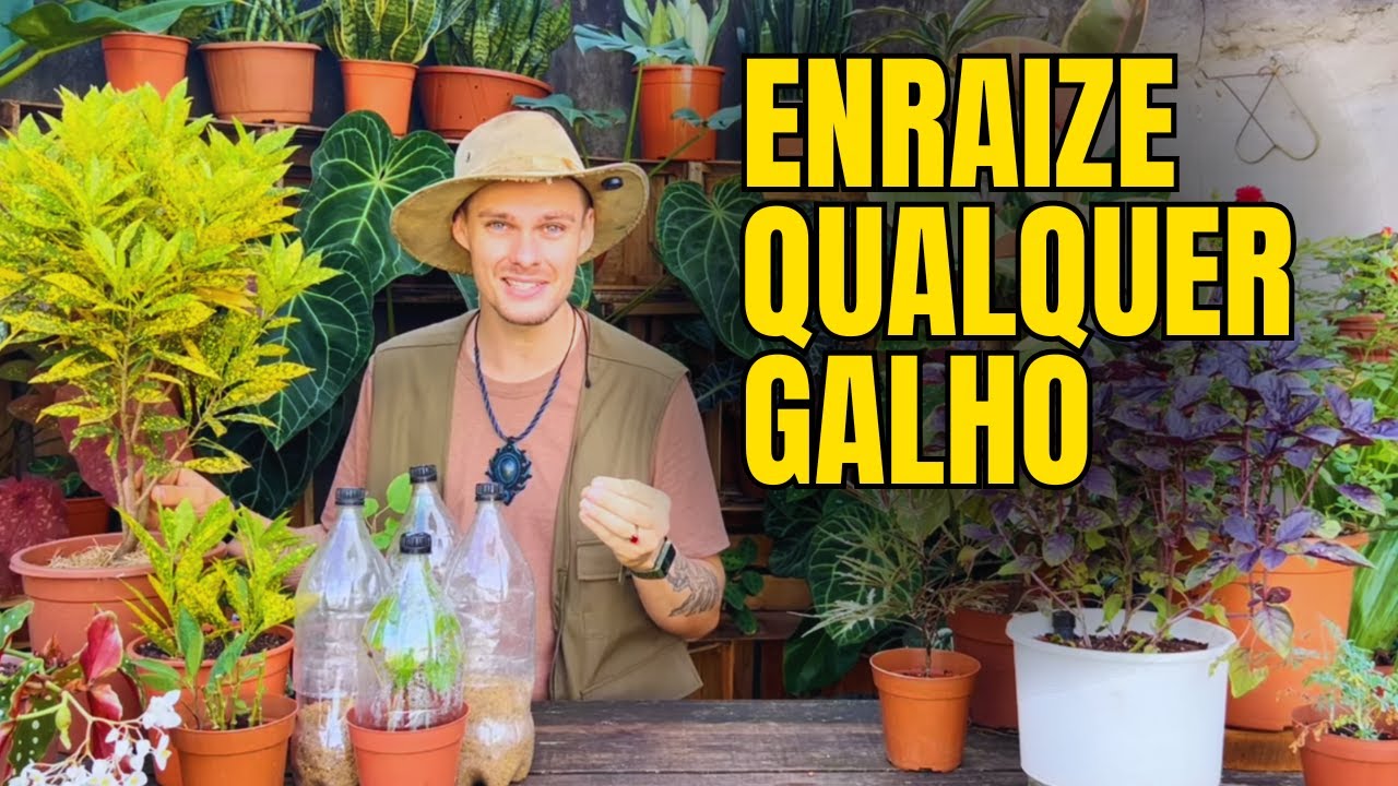 Técnica para ENRAIZAR QUALQUER GALHO sem gastar nada|!