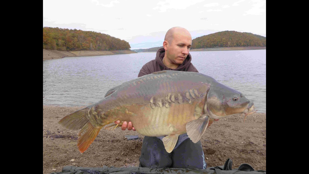 L'automne en barrage carpfishing