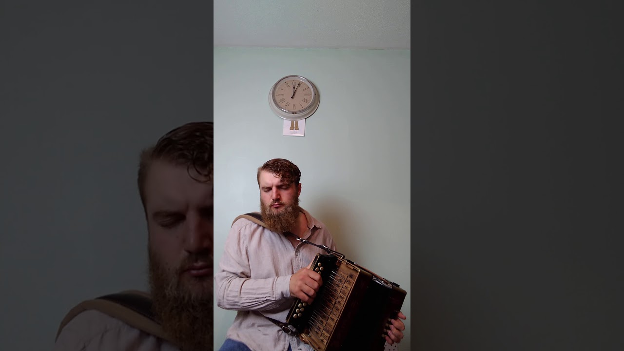 Hughie Travers', Lucky in Love & Hollybush reel, Will Allen Melodeon