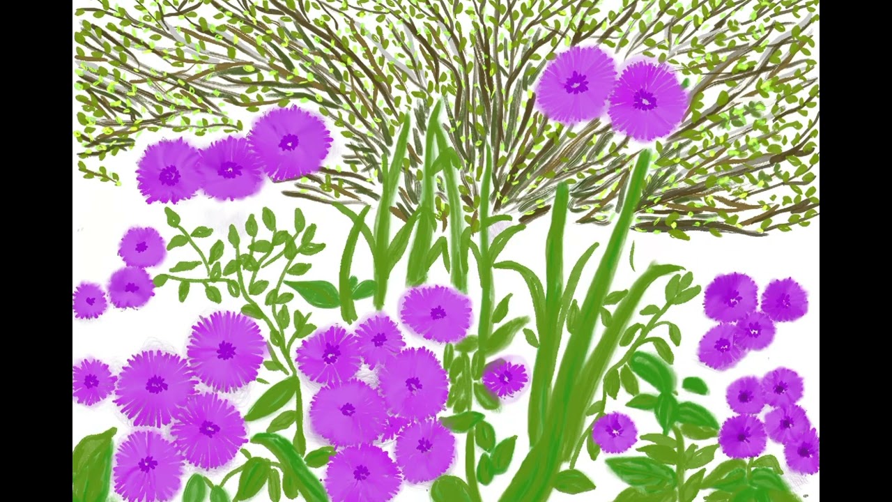 beautiful wildflowers view drawing with digital art@maceyartwork