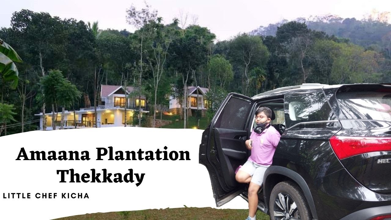 The Must Stay Jungle Resort in Thekkady |  Amaana Resort