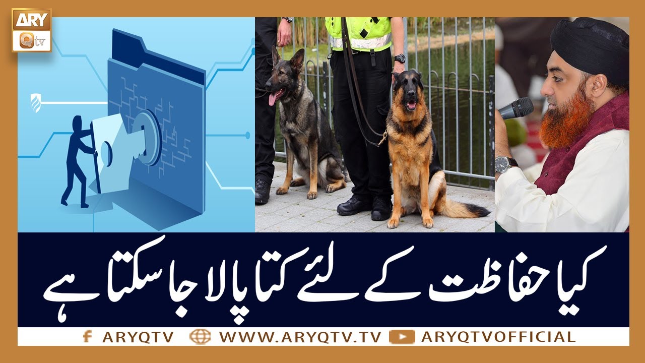 Kia Hifazat Ke Liye Kutta Pala Ja Sakta Hai? | Mufti Akmal | ARY Qtv