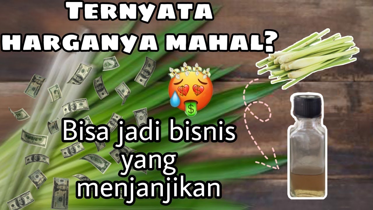CARA MEMBUAT MINYAK SEREH DENGAN PROSES DESTILASI