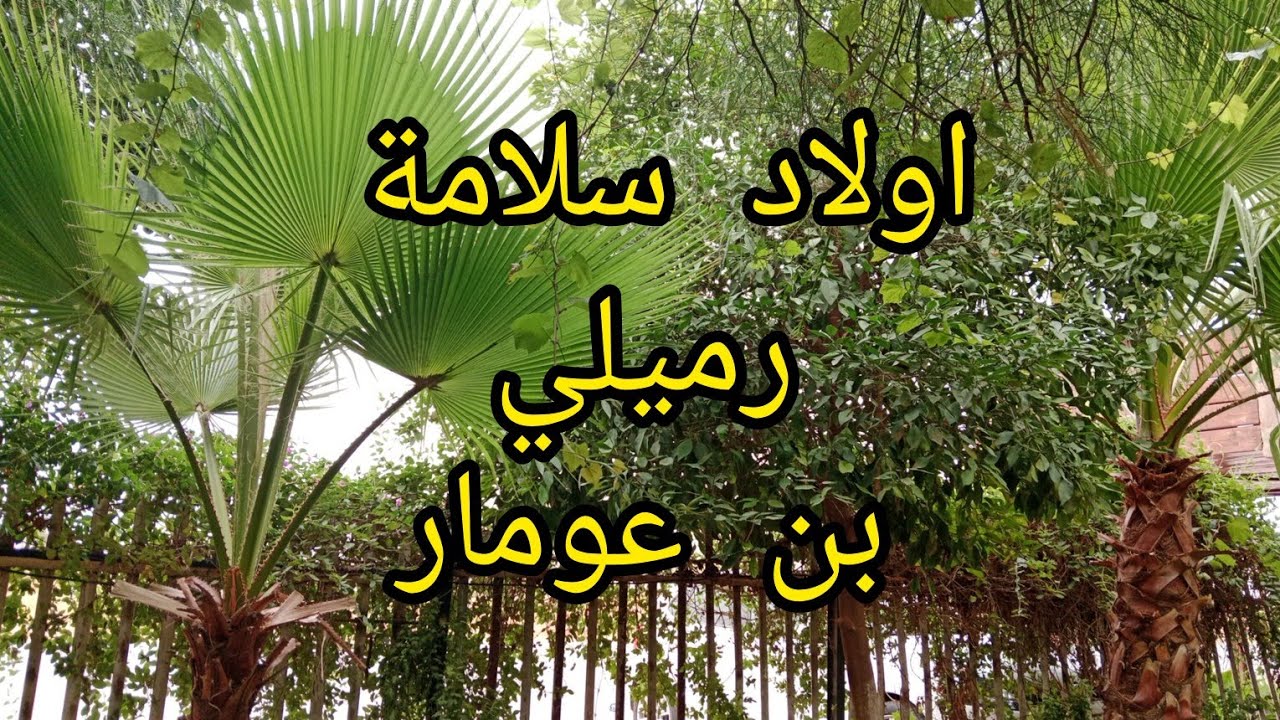 كل دار تحكي قصة في ولاد سلامة العشرية السوداء