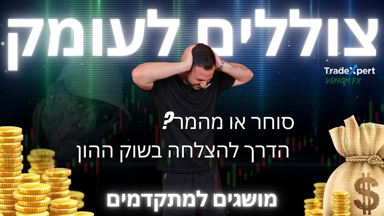 סוחר או מהמר? הדרך להרוויח כסף בשוק ההון תוך חודש אחד!