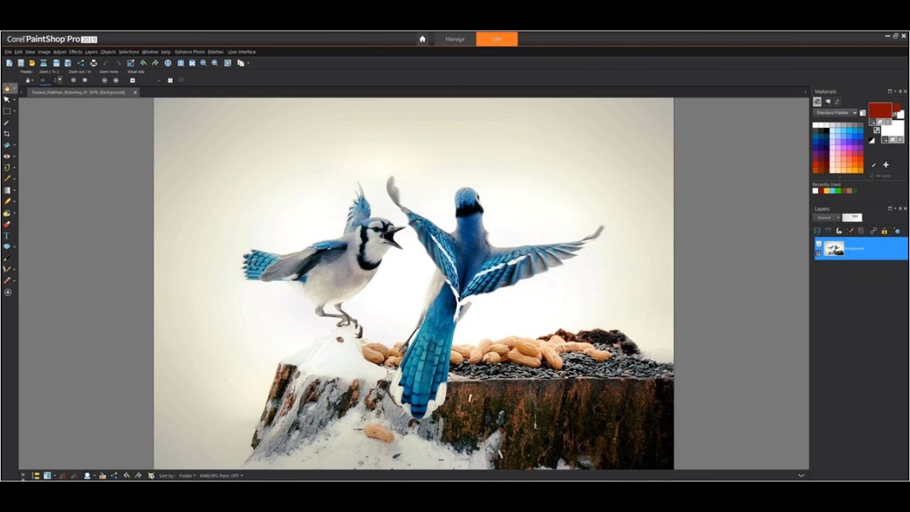What's New in PaintShop Pro 2019?