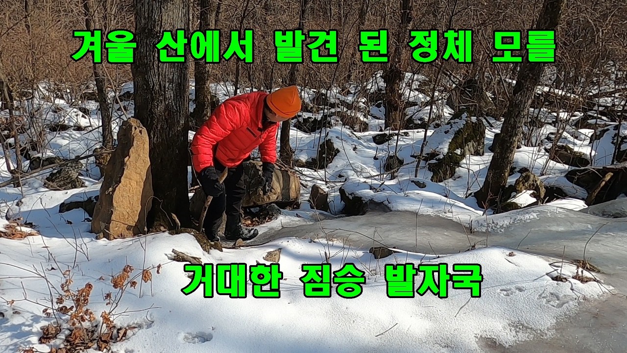 겨울 산에서 발견 된 정체 모를 거대한 짐승 발자국?