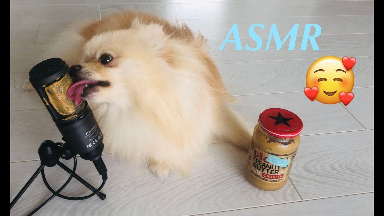 I put peanut butter on the microphone (ASMR)