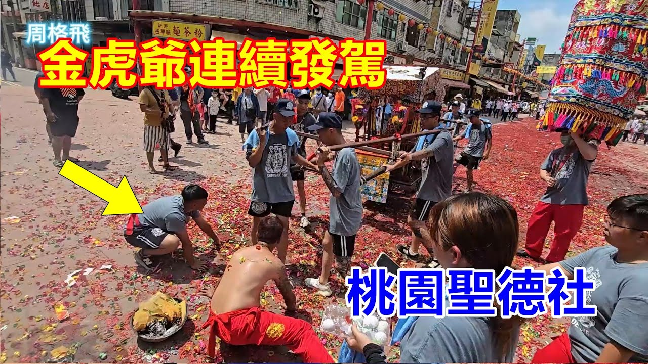金虎爺連續發駕 桃園聖德社 蒞臨新港奉天宮進香