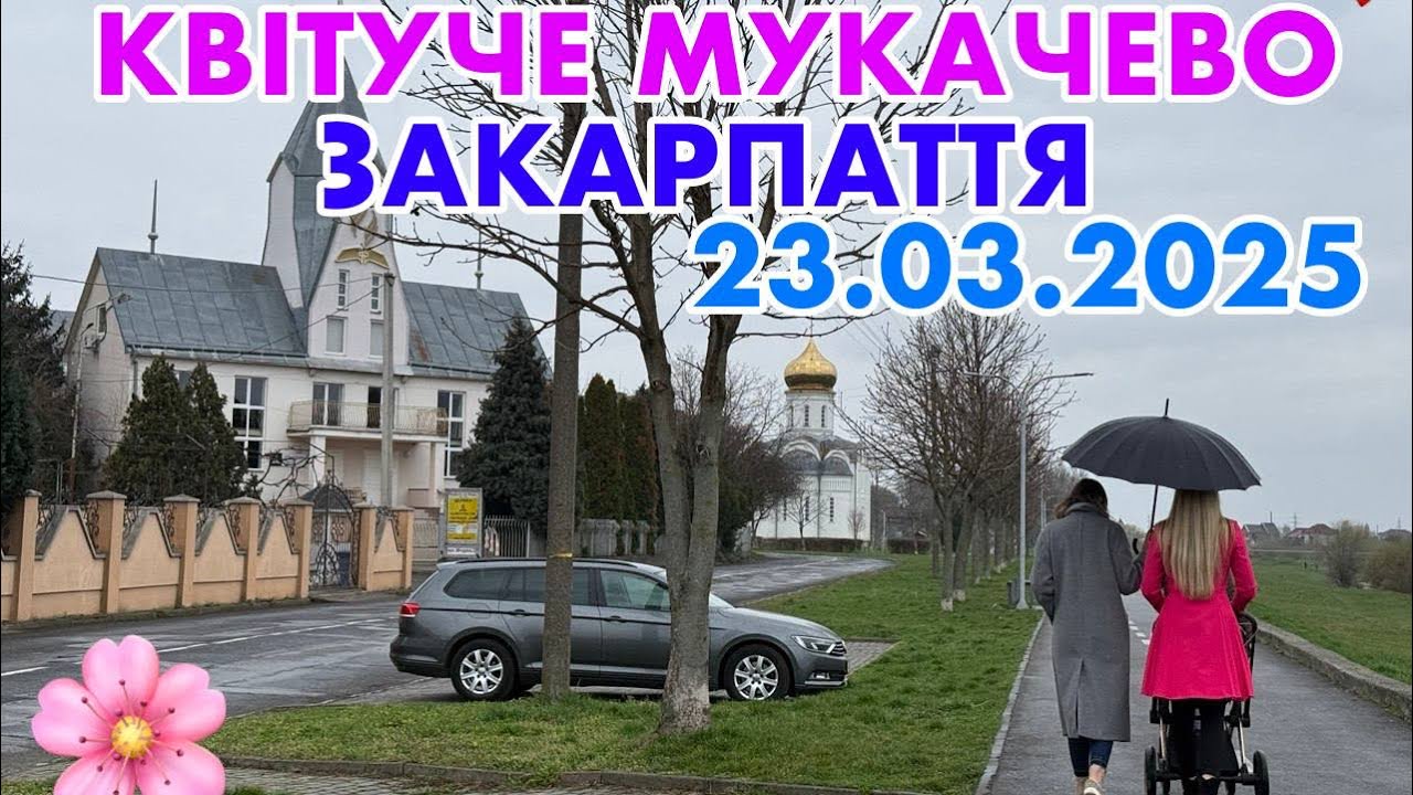 МУКАЧЕВО🥰ЗАКАРПАТТЯ🌸КВІТНЕ МАГНОЛІЯ🌸Вулиця Т.Г.ШЕВЧЕНКА✅ДОЩ💦23.03.2025