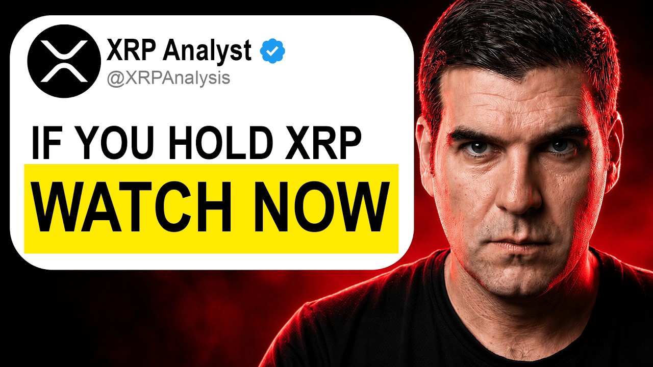 Эти данные по XRP просто ЖЕСТЬ&hellip;