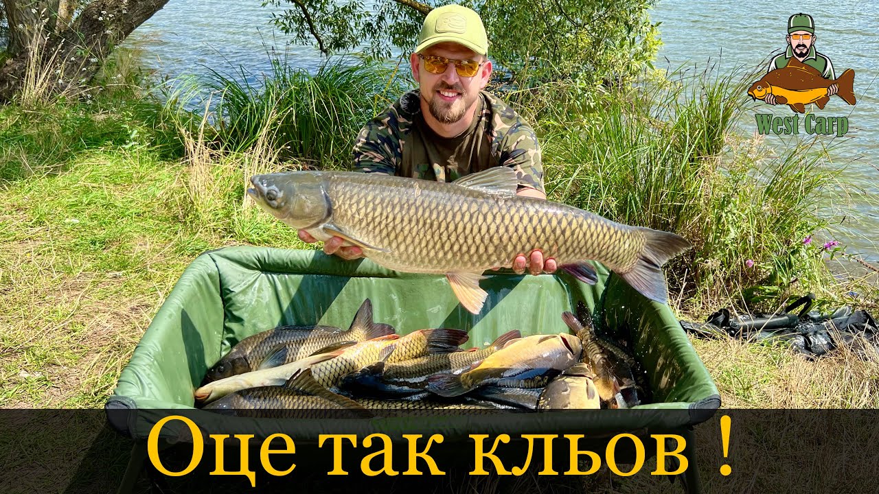 Рибалим на Флет фідер на мальовничій водоймі)Веселка то до шикарного кльову!)Потужні сазани та амури