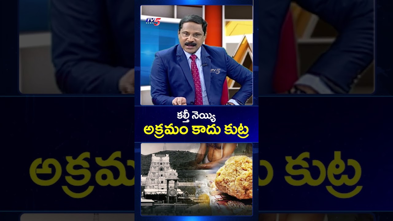 కల్తీ నెయ్యి అక్రమం కాదు కుట్ర - TV5 VIjay COmments #ttdladduissue #ysrcp #tirumala #tv5news