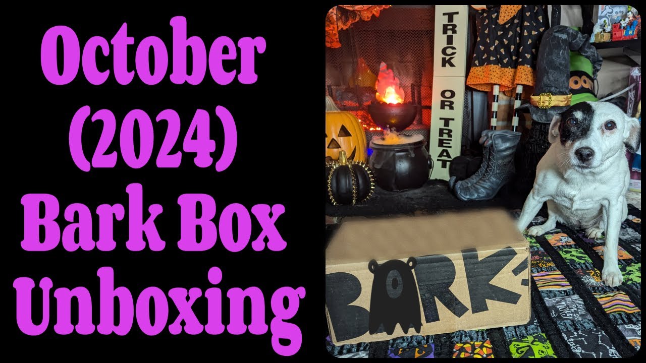October (2024) Bark Box Unboxing