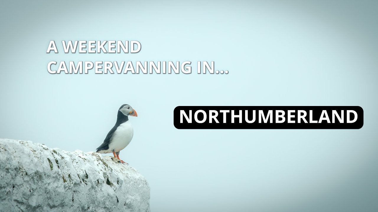 Castles, Rain and Puffins: a trip to Northumberland