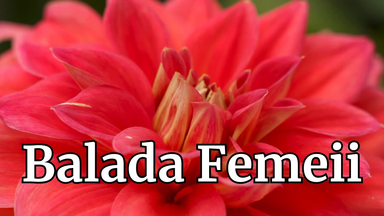 Balada Femeii &ndash; Omagiu pentru sufletul feminin 💫 Dor & Ritm 2025