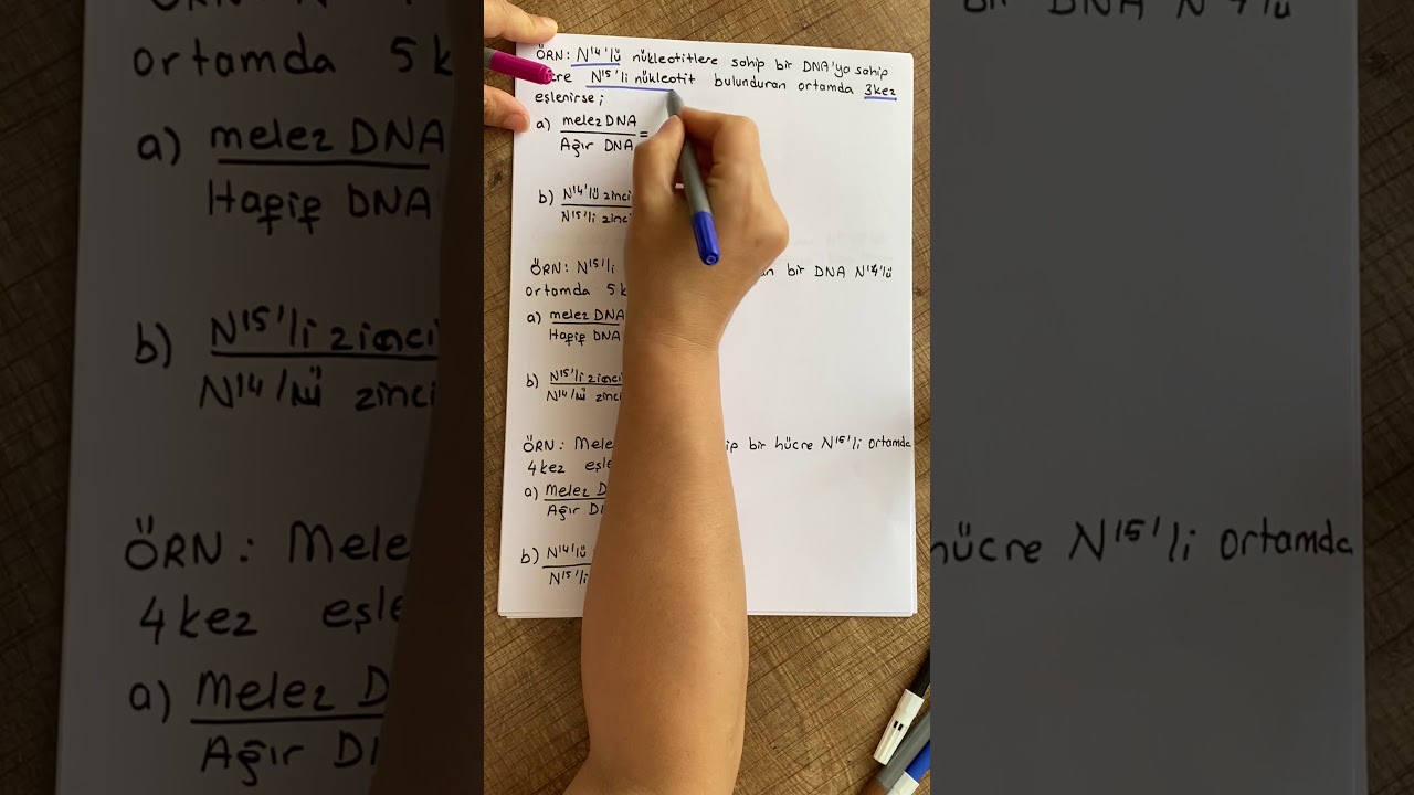 Biyoloji DNA eşlenmesi