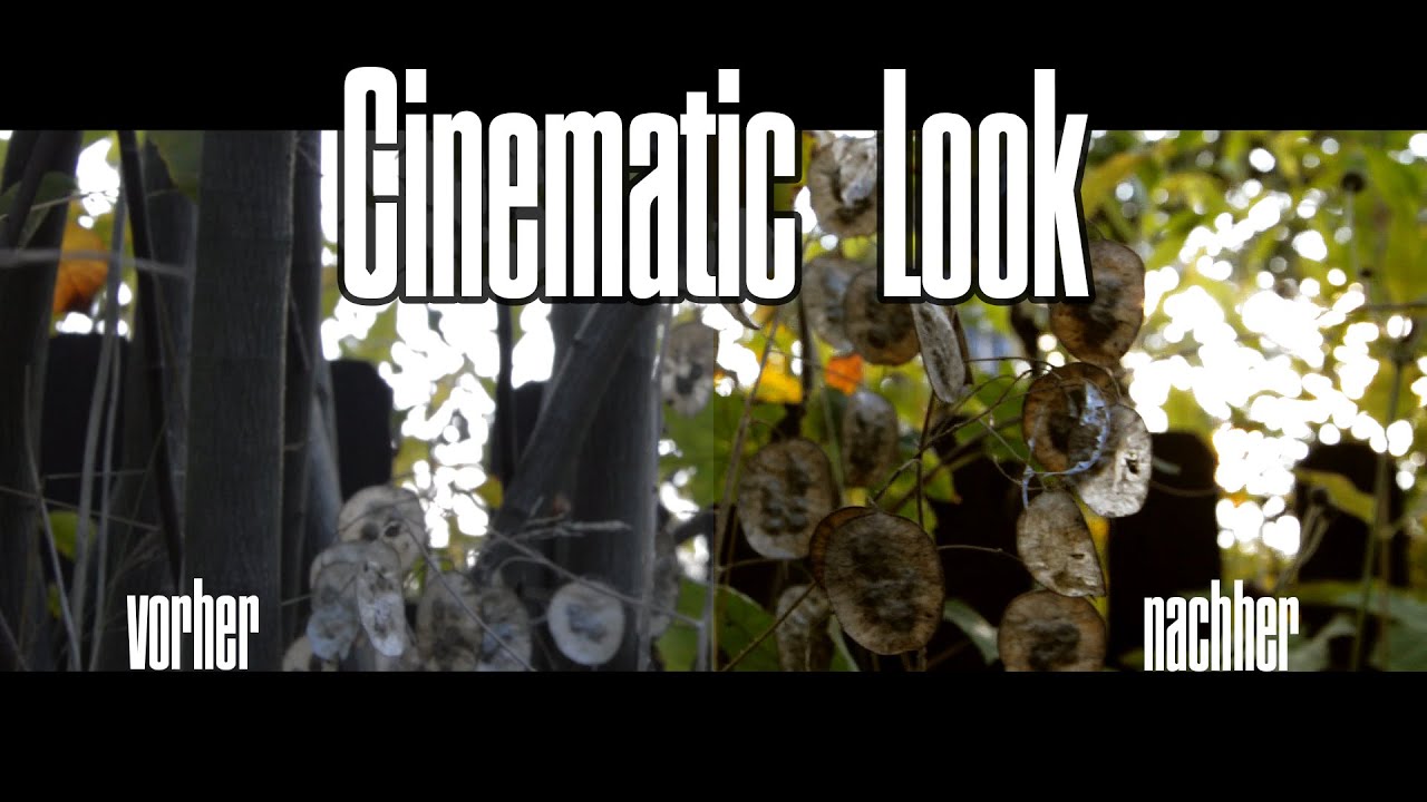Cinema Look || Sony Vegas (German)