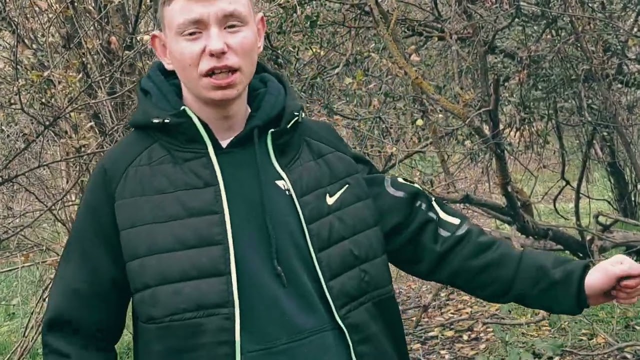 DILIS  (Nem tudom) ofical