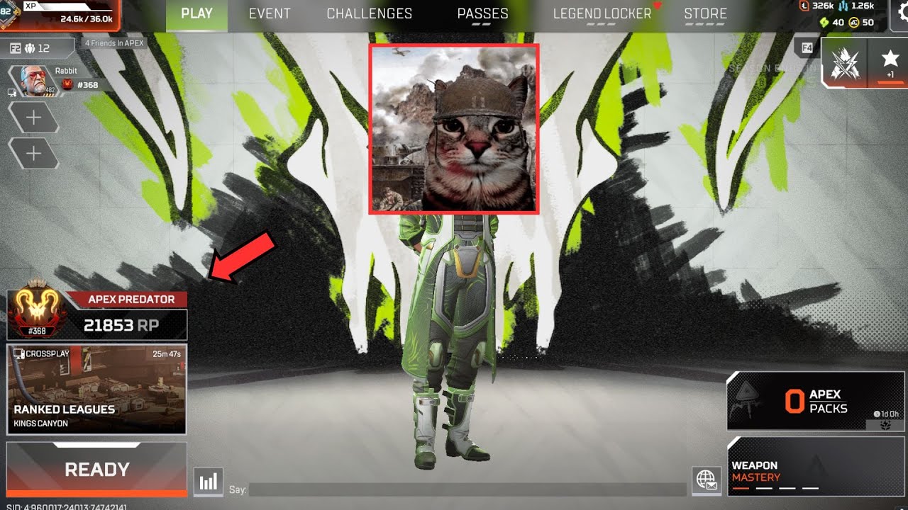cute clips of my journey to apex predator