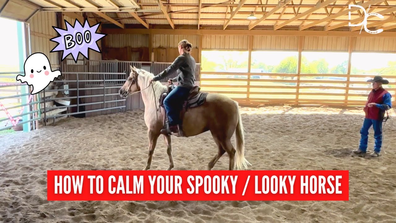 D/C How To Calm A Spooky or 'Looky' Horse