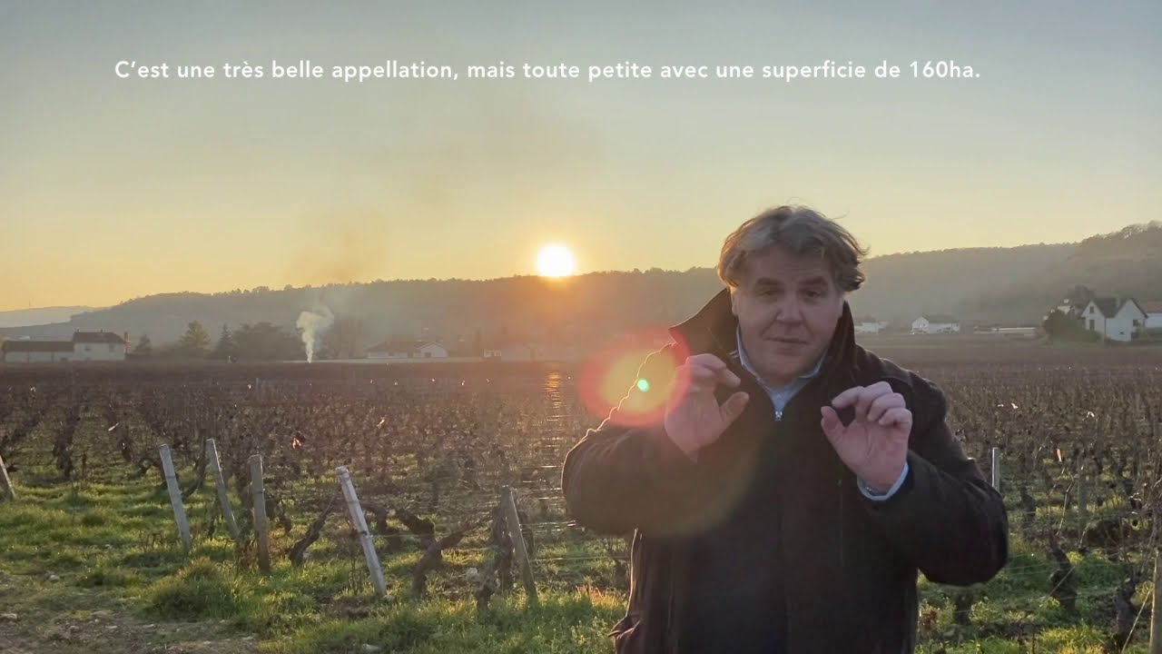welcome in my Vineyard 10/23 Chambolle Musigny les Vieilles Vignes 2019