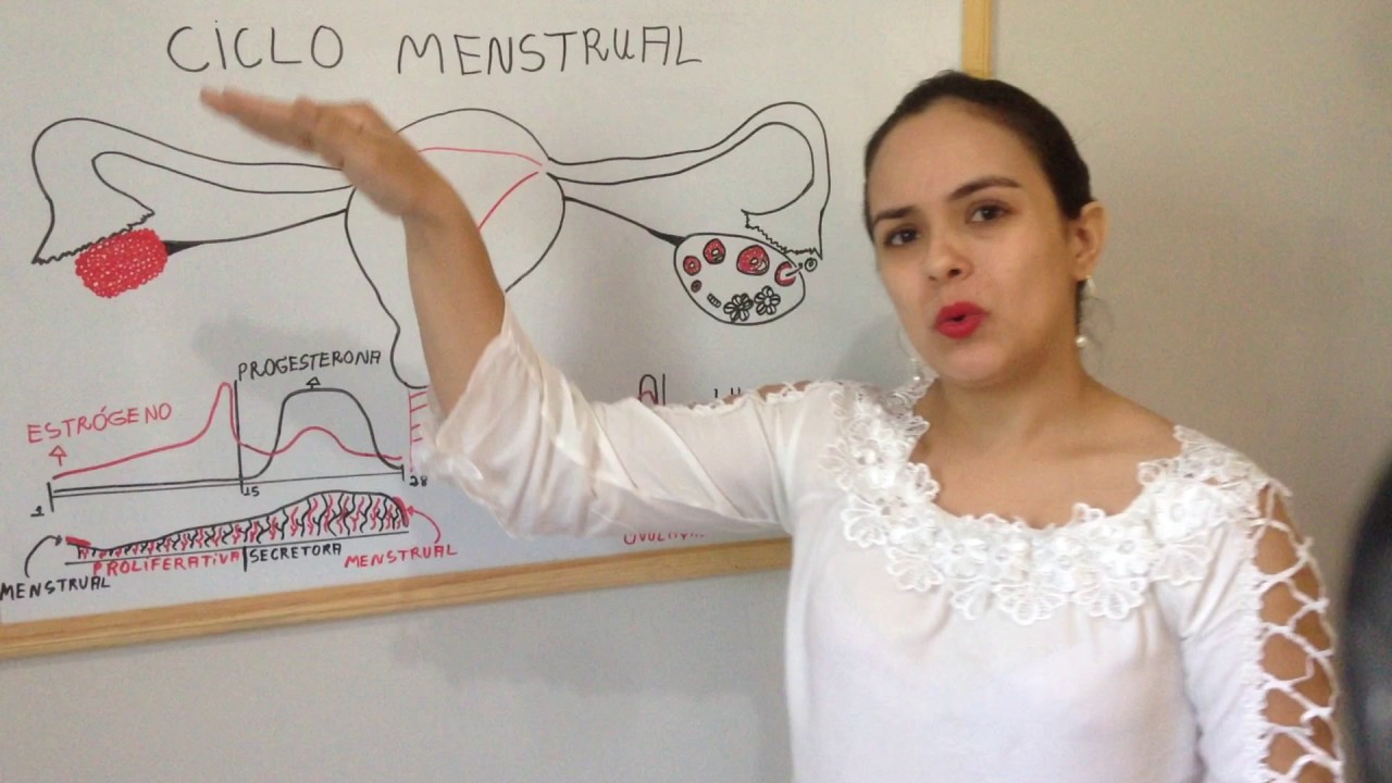 CICLO MENSTRUAL E OVULATÓRIO.