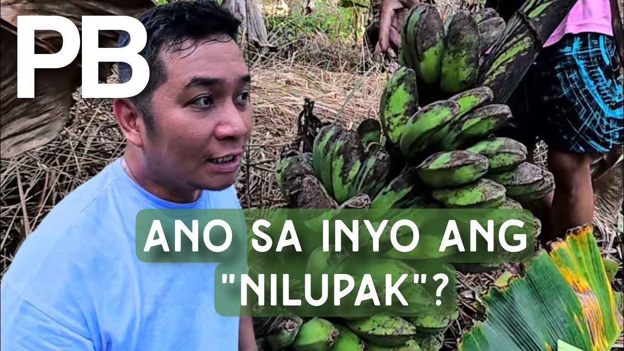 Halina't magharvest sa likod lang ng PB House!