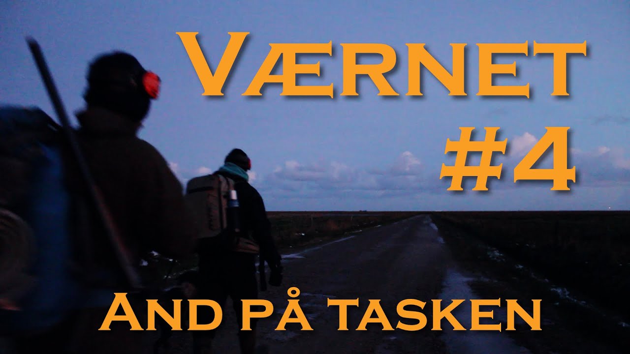 VÆRNET #4   (Himmelsk mobning og fjer i munden)