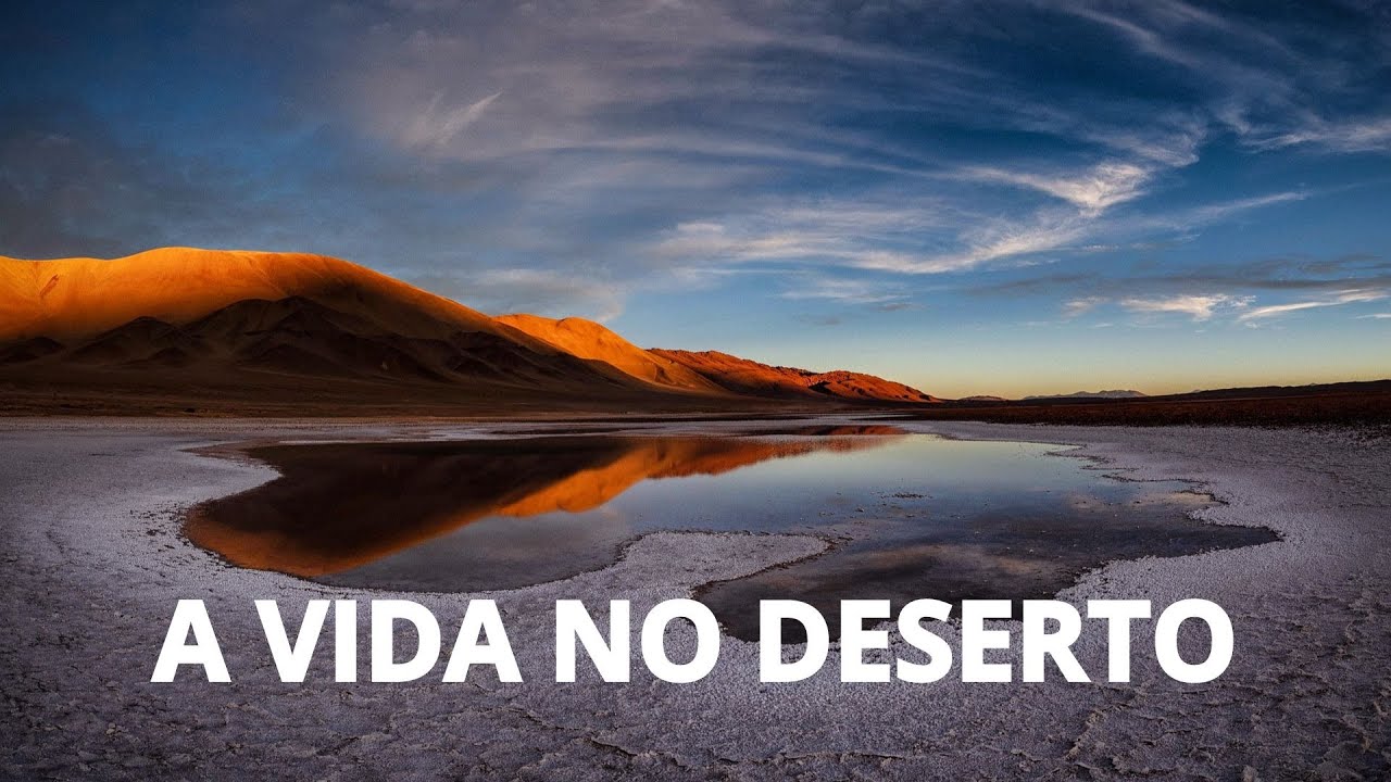 A Beleza e os Desafios do Deserto: Uma Jornada pela Terra &Aacute;rida