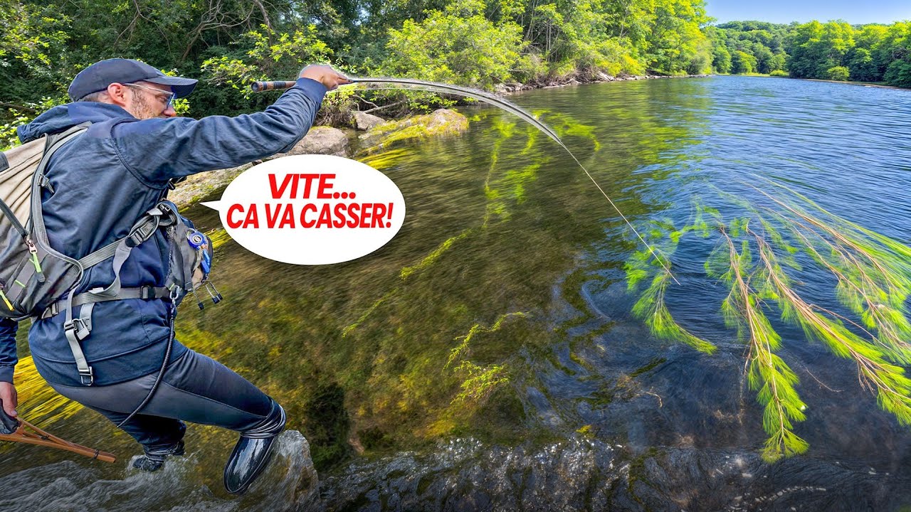 3 jours d'exploration et de pêche sur la DORDOGNE Ft @Sicolure (Pêche aux leurres | Pêche au toc)