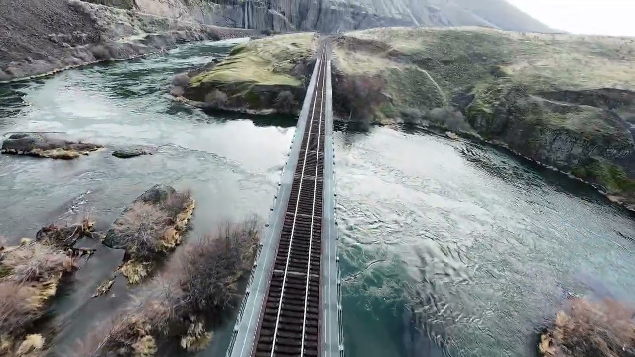 Trestle Dive