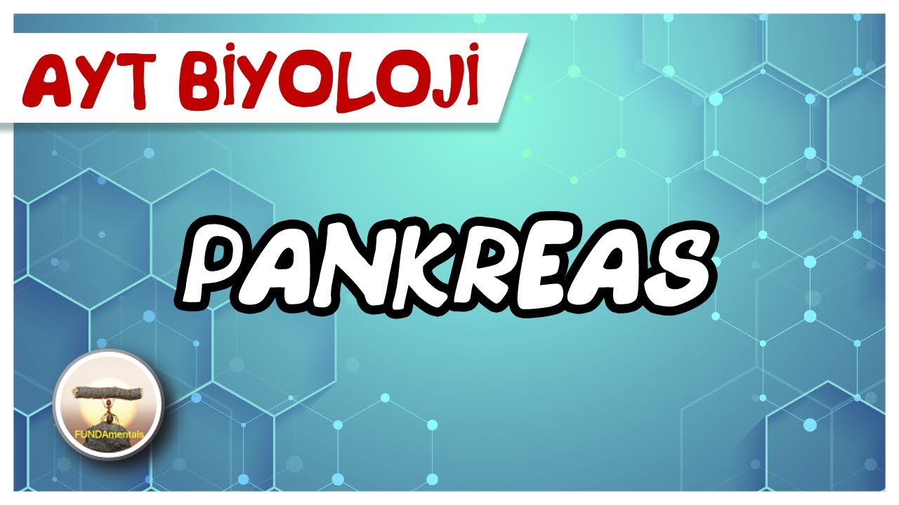 AYT Biyoloji | Pankreas  #sayfa34