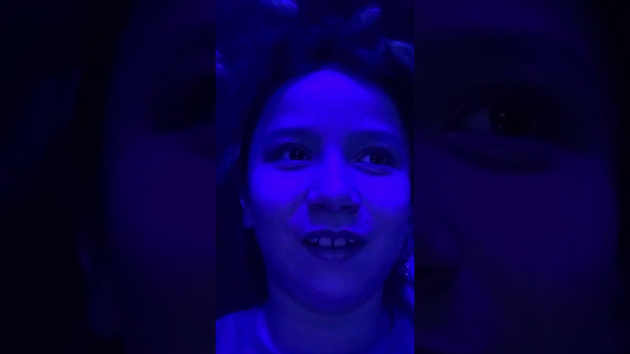 Meg Deep Sea World Adventure