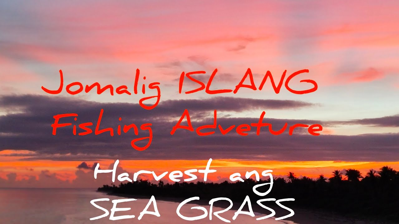 ⛱️JOMALIG ISLAND FISHING ADVENTURE 🏝️NAKAHARVEST NG SEA GRASS🫰🎣