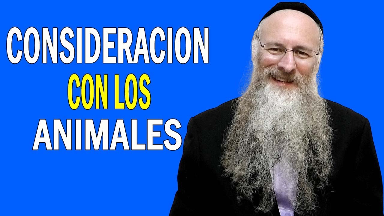 Ser Considerados con los Animales