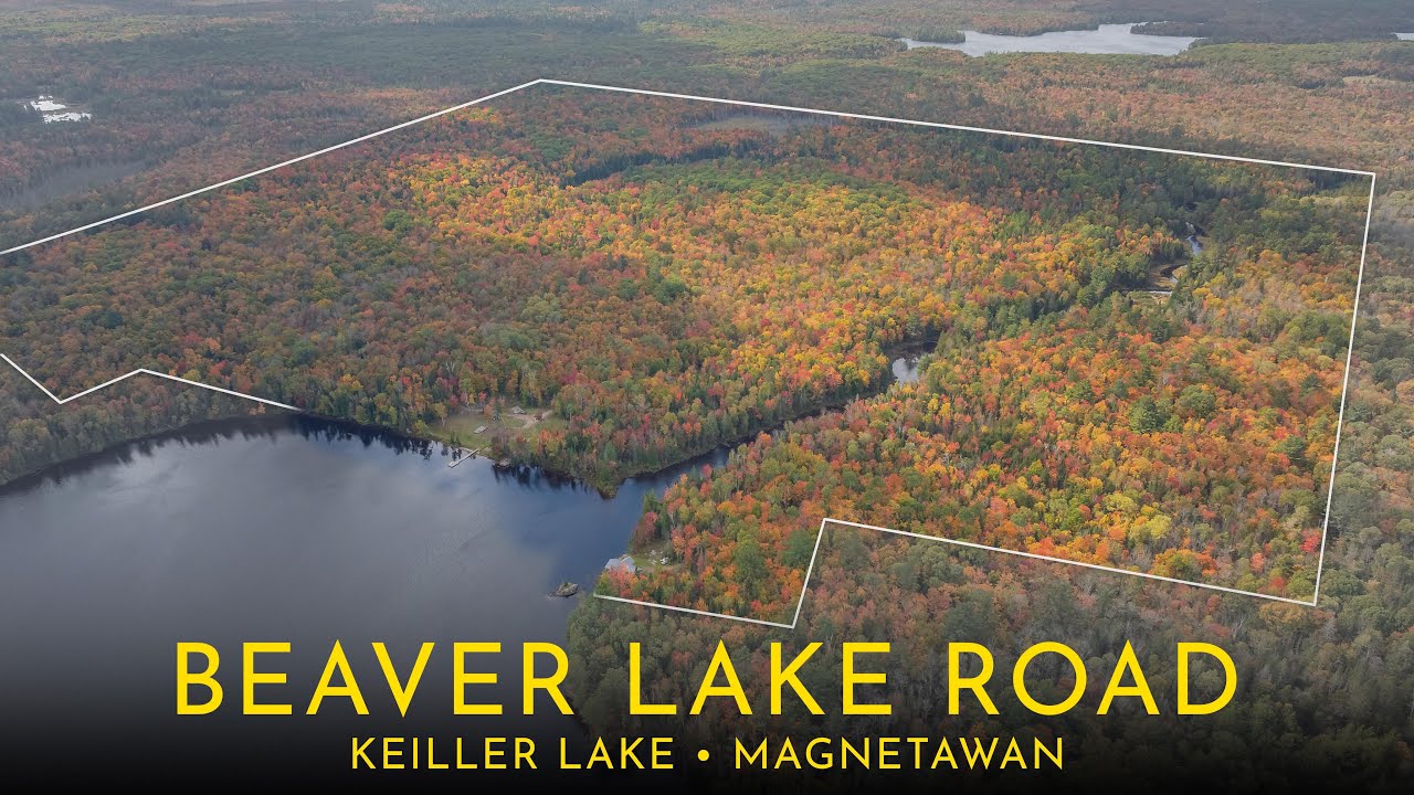 Nearly 300 Acres w 3,000ft of Shoreline on semi-private lake - Magnetawan Real Estate - Baum Team