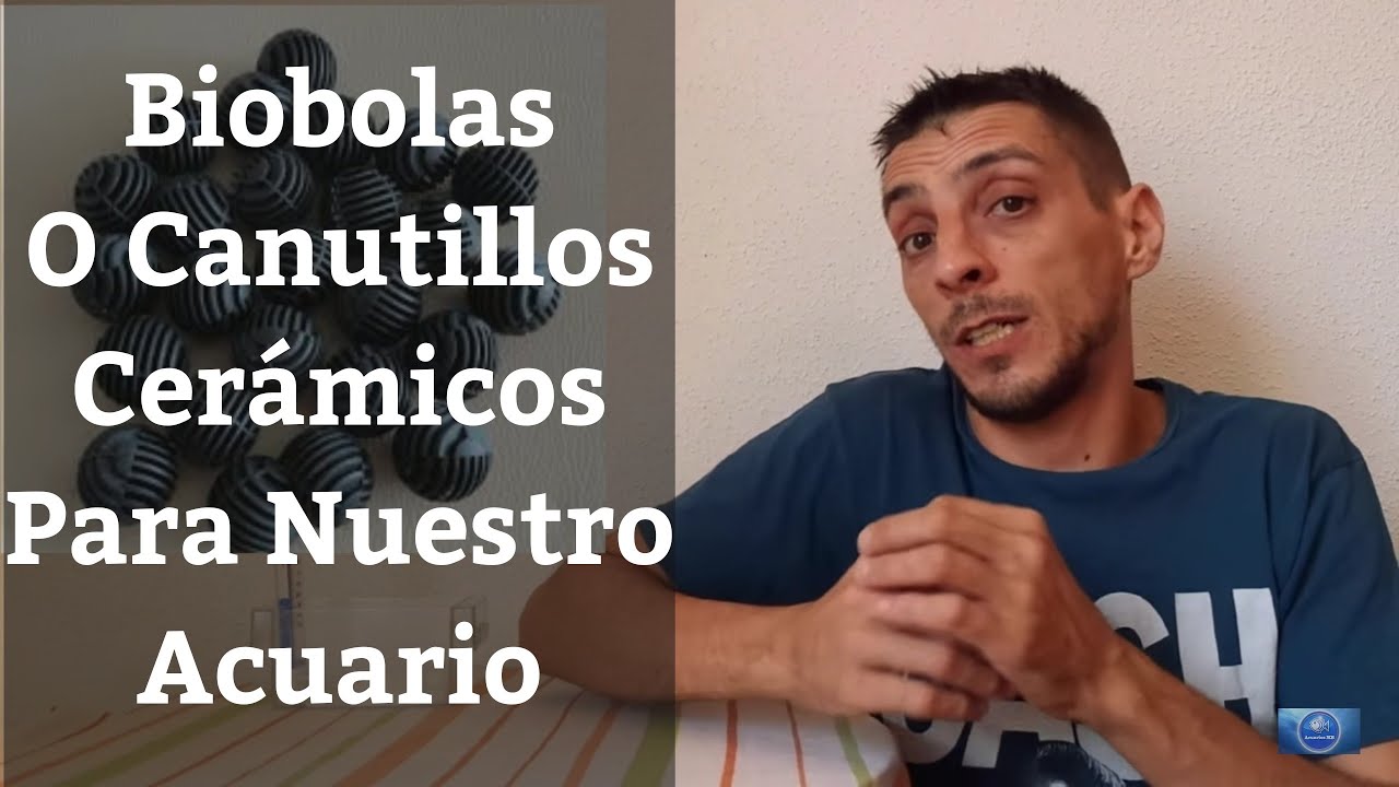 🔵 Biobolas Para Acuario o Canutillos Cerámicos,Cual Elegir? (Acuarios MB)