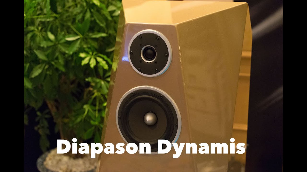 Diapason Dynamis Speakers Setup with Chord