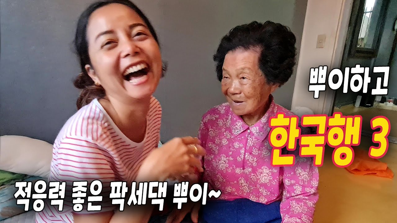 ep265 한국 집에 도착 했어요
