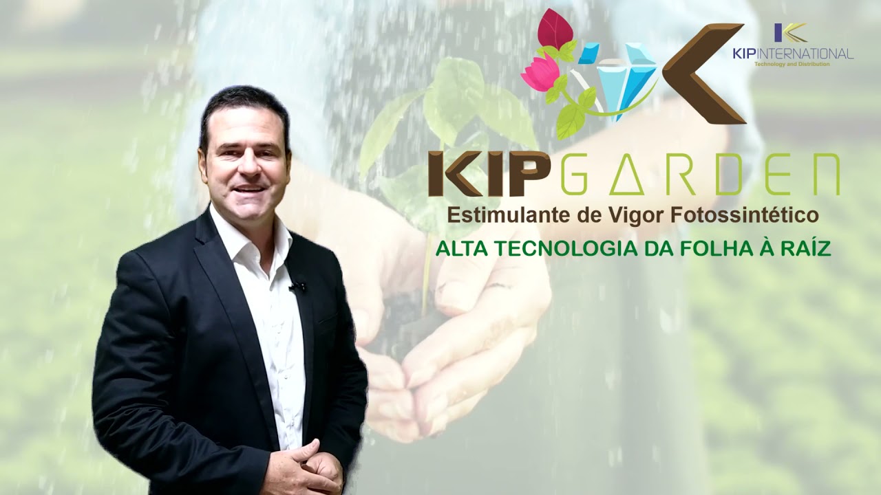 Conhe&ccedil;a a Kip International e se surpreenda!