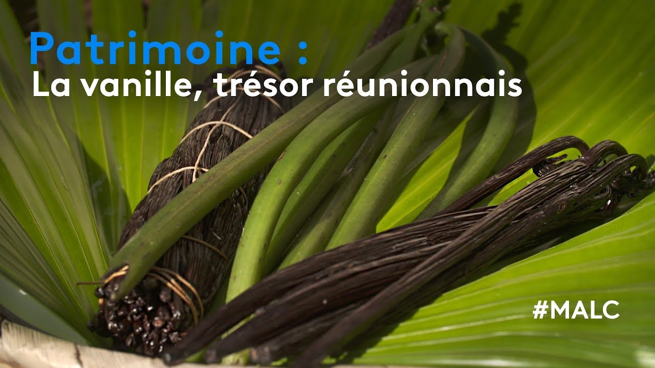 Patrimoine : la vanille, trésor réunionnais