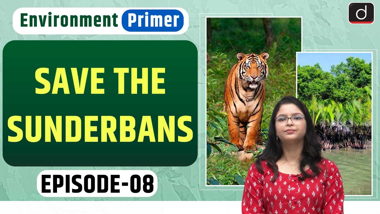 Save the Sundarbans| Environment Primer | Drishti IAS English