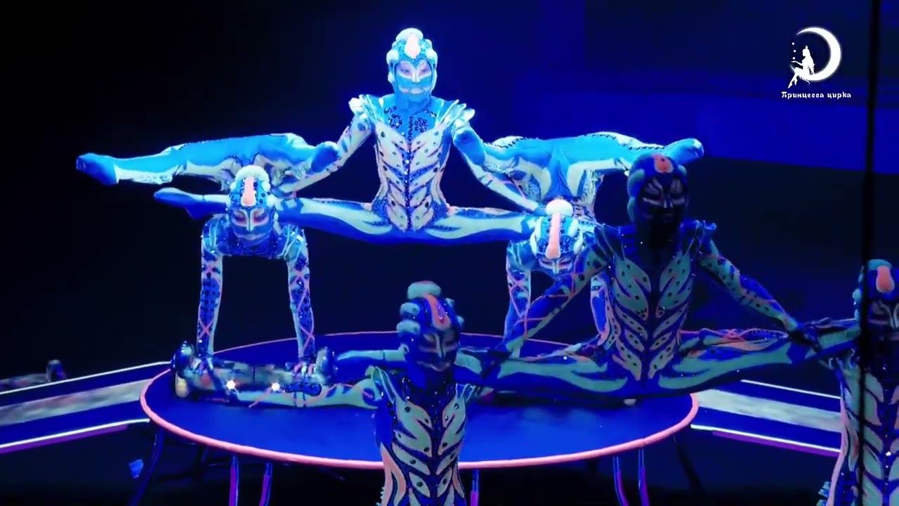 X Roses Contortion Centre of Mongolia 2023 Saratov Princessa Circus won the Grand-Prix prize